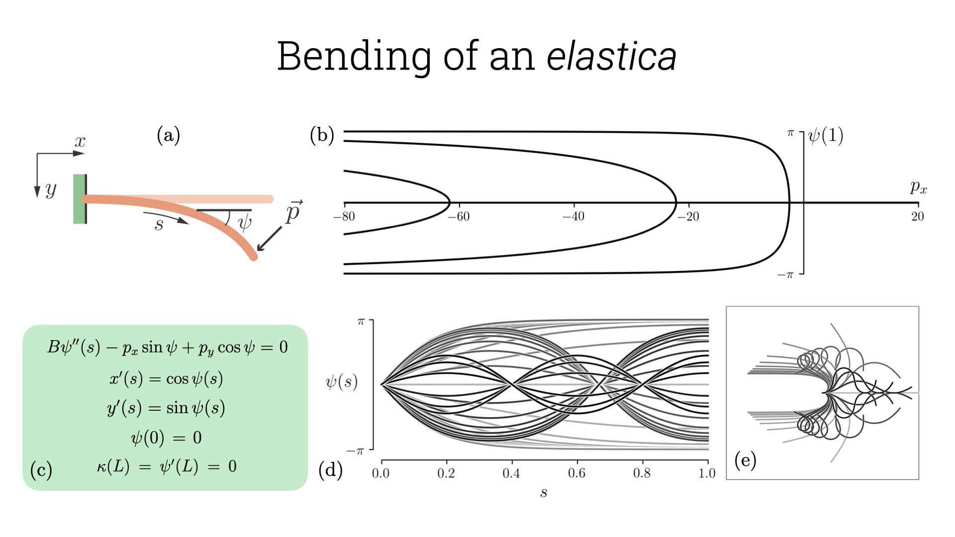 Elastica bifurcation diagram