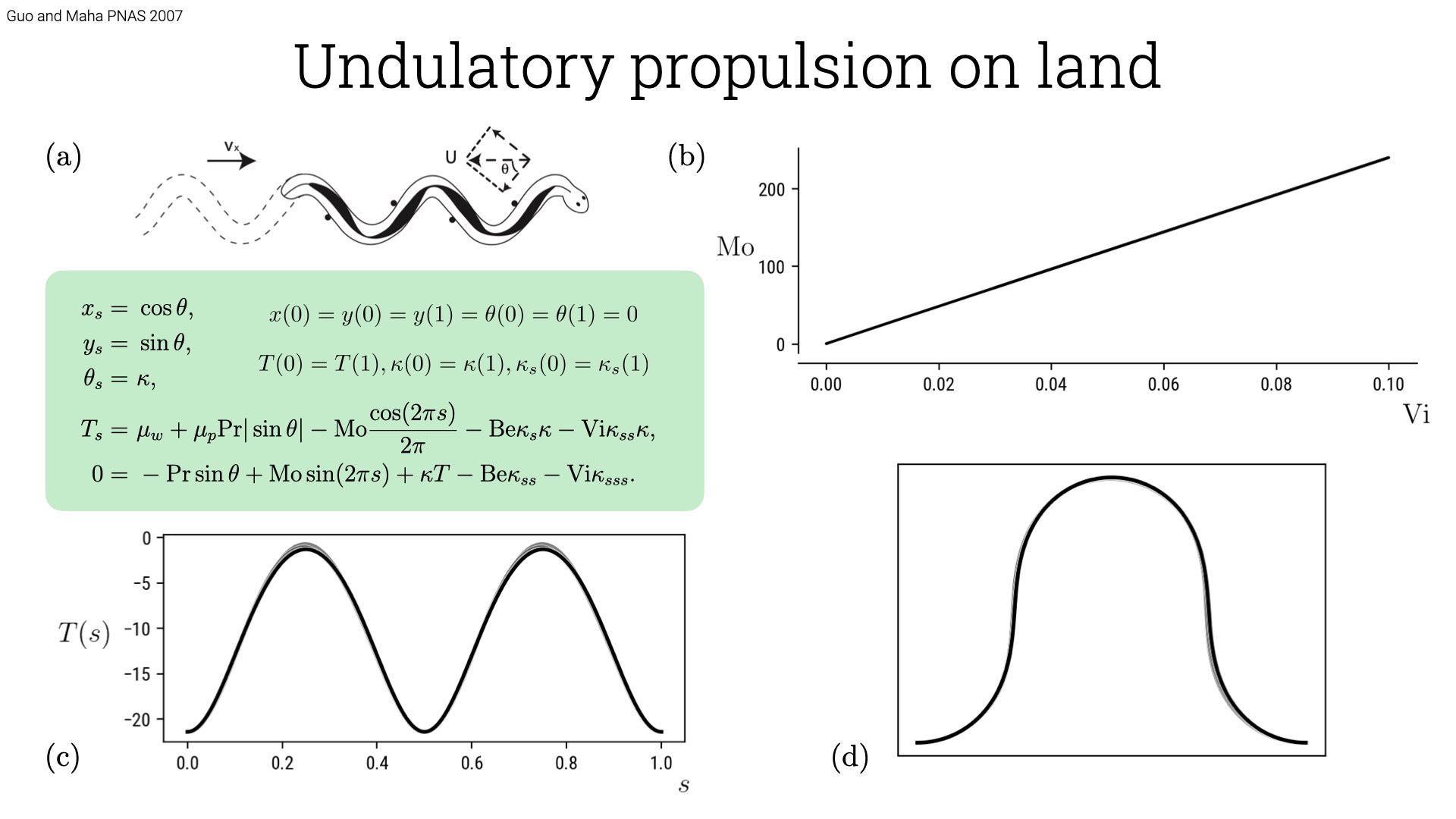 Snake undulatory locomotion result